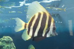 DSCF5206_624