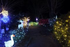 DSCF5337_624