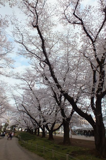DSCF5089-1_624