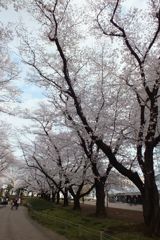 DSCF5089-1_624
