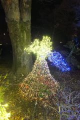 DSCF5335_624