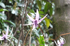 DSCF5489