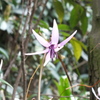 DSCF5489