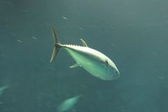 DSCF5174_624