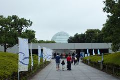 DSCF5167_624