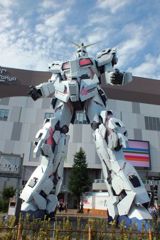 DSCF5224_624