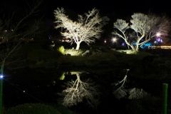 DSCF5350_624