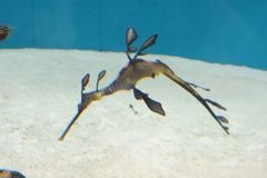 DSCF5193_624