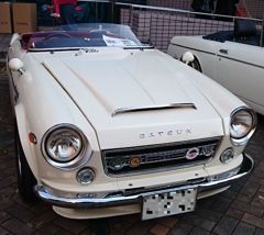 DSC_2641_624
