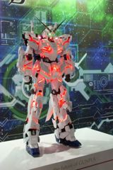 DSCF5240_624