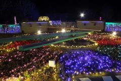 DSCF5381_624