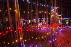 DSCF5357_624