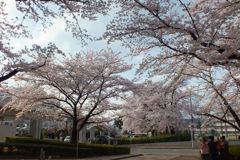 DSCF5091-1_624