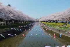 DSCF5500