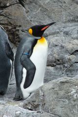 DSCF5178_624