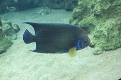 DSCF5207_624