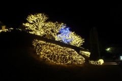 DSCF5398_624