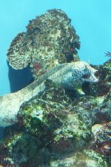 DSCF5196_624