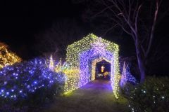 DSCF5338_624