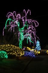 DSCF5383_624