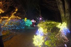 DSCF5334_624