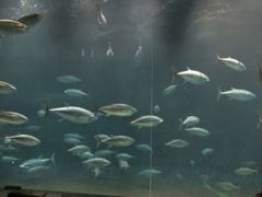 DSCF5172_624