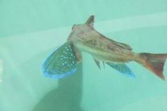 DSCF5211_624
