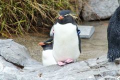 DSCF5177_624
