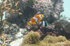 DSCF5189_624