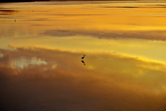 The scenery in my mind ...