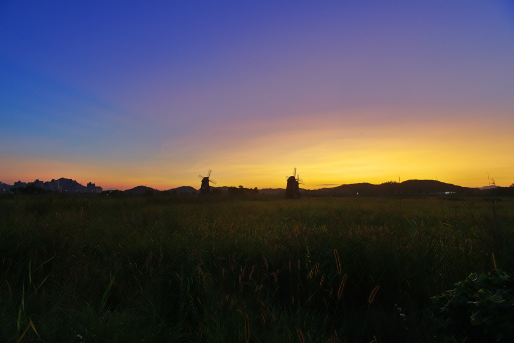 Morning dawns ...