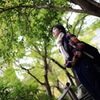 秋が来る前に