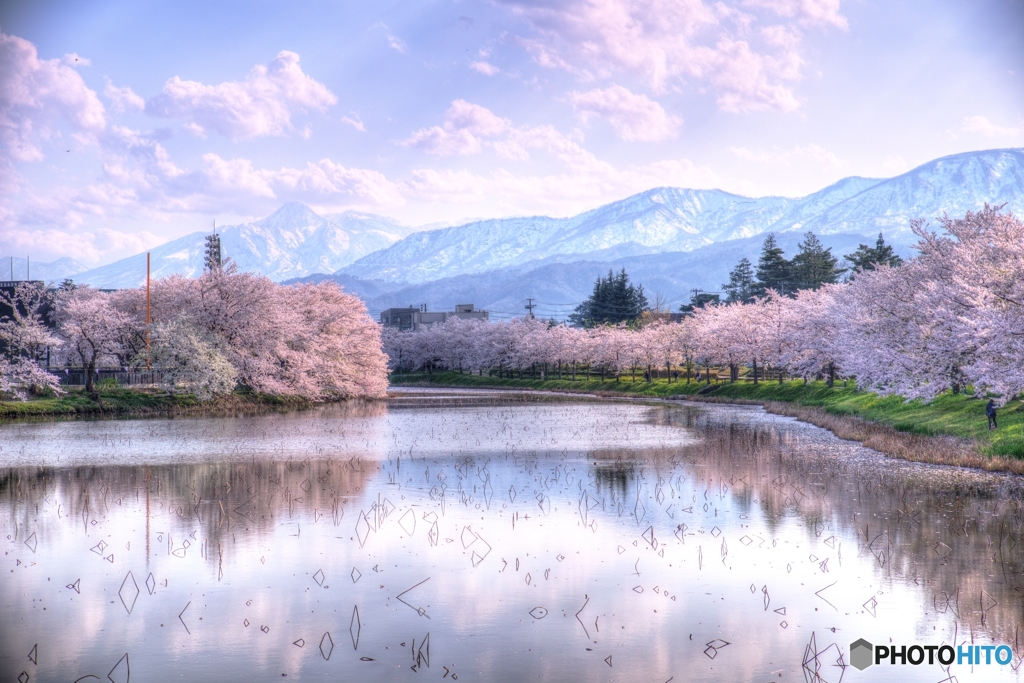 高田公園と妙高山