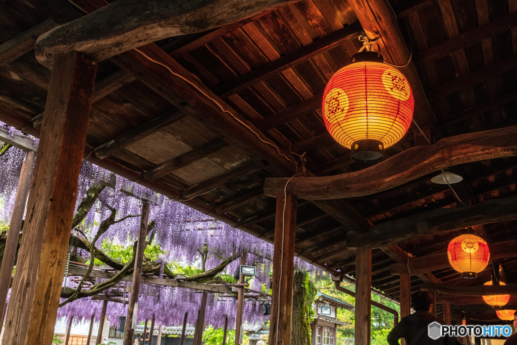 北方博物館２