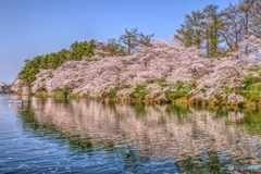 高田公園