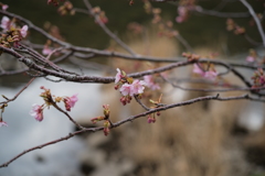 もうすぐ春