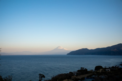 朝富士