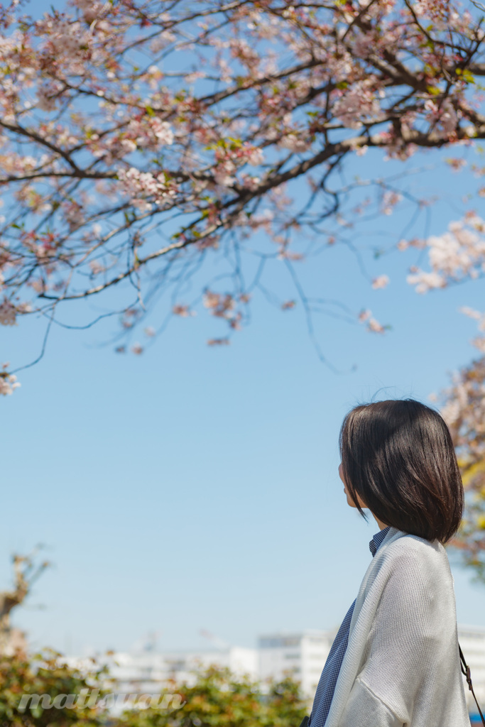 春