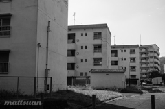 廃団地