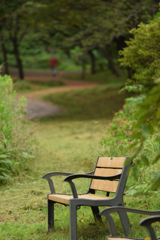 雨上がりの公園