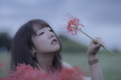 彼岸花