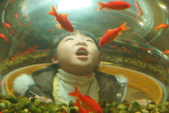 ぎょぎょぎょ⁉