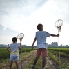 夏休み