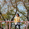 こはるびよりに