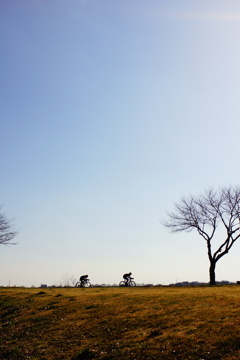 晴れた日は