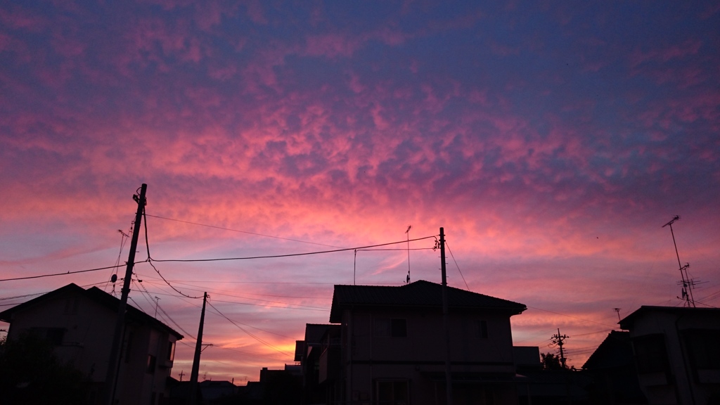 夕焼け
