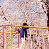 桜の中で
