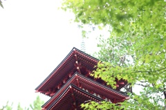 我的京都風五重塔