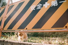 現場監督