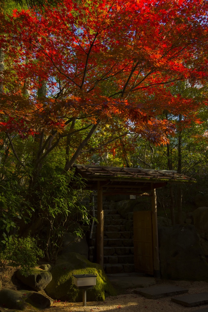 日本庭園